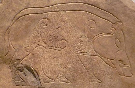 CELTIC PIGS: From Picts to Half Pennies to BBQ