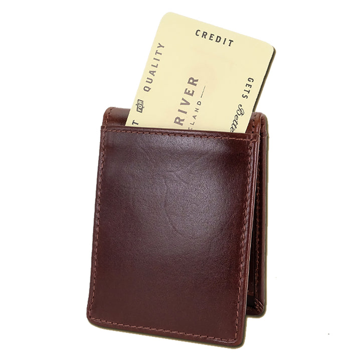 back of brown fergal dog clip wallet by lee river